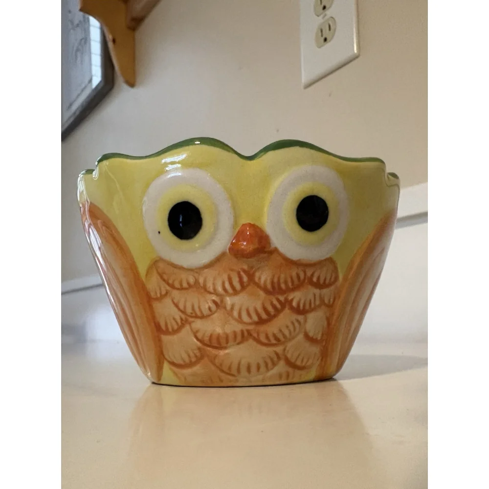 Pier 1 Imports Hand Painted Owl Measuring Cups Set 4 Stoneware Colorful Vintage